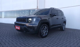 RENEGADE SPT T270 22.23 CINZA 22.500